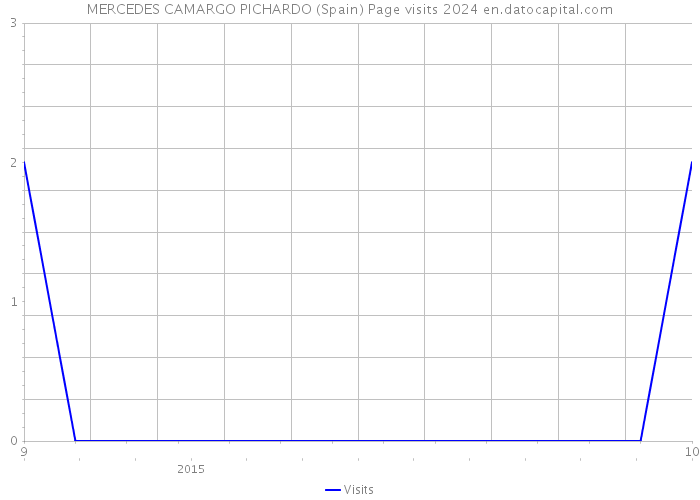 MERCEDES CAMARGO PICHARDO (Spain) Page visits 2024 