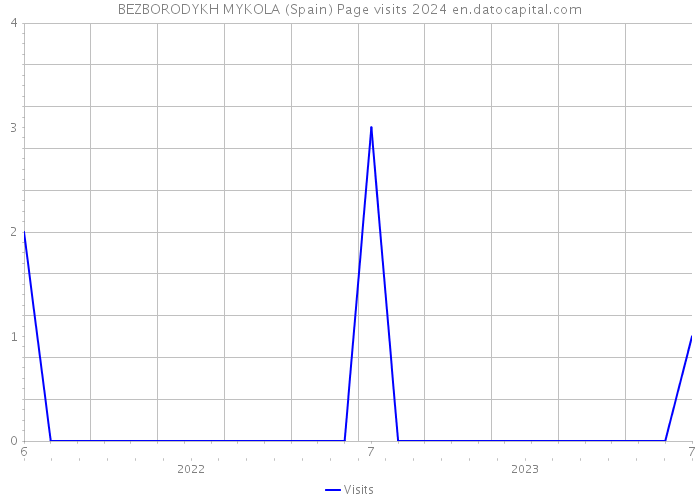 BEZBORODYKH MYKOLA (Spain) Page visits 2024 