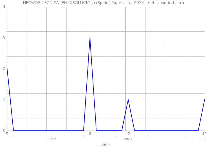 NETWORK BCN SA (EN DISOLUCION) (Spain) Page visits 2024 