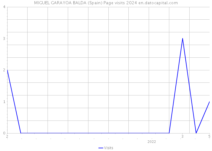 MIGUEL GARAYOA BALDA (Spain) Page visits 2024 