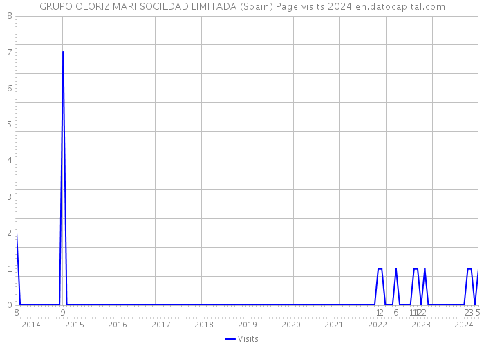 GRUPO OLORIZ MARI SOCIEDAD LIMITADA (Spain) Page visits 2024 