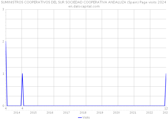 SUMINISTROS COOPERATIVOS DEL SUR SOCIEDAD COOPERATIVA ANDALUZA (Spain) Page visits 2024 