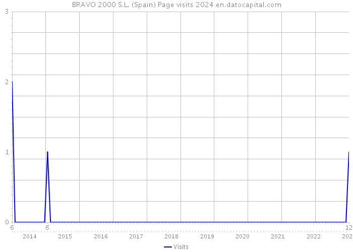 BRAVO 2000 S.L. (Spain) Page visits 2024 