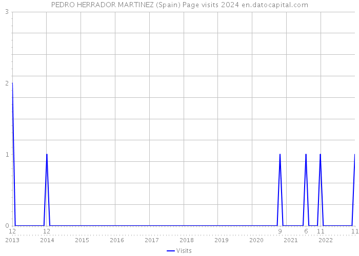PEDRO HERRADOR MARTINEZ (Spain) Page visits 2024 
