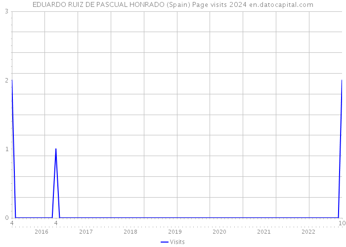 EDUARDO RUIZ DE PASCUAL HONRADO (Spain) Page visits 2024 