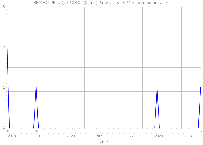 BRAVOS PELUQUEROS SL (Spain) Page visits 2024 