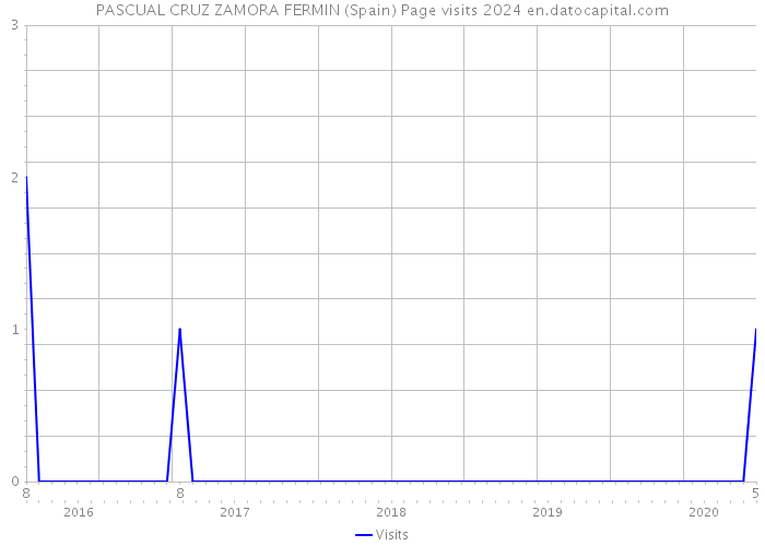 PASCUAL CRUZ ZAMORA FERMIN (Spain) Page visits 2024 