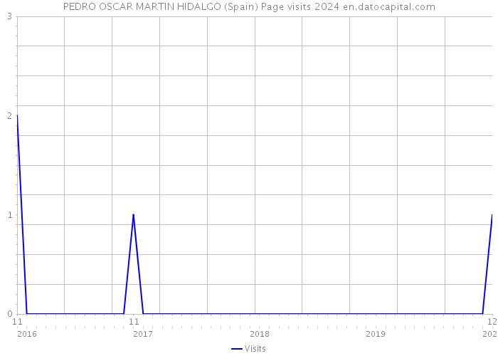 PEDRO OSCAR MARTIN HIDALGO (Spain) Page visits 2024 