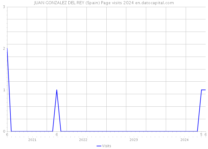 JUAN GONZALEZ DEL REY (Spain) Page visits 2024 