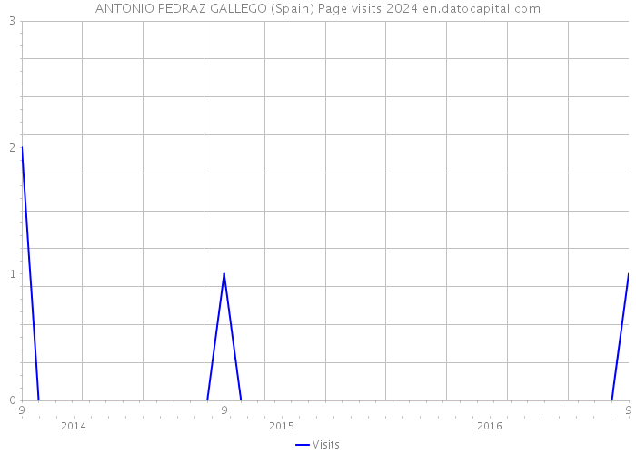 ANTONIO PEDRAZ GALLEGO (Spain) Page visits 2024 