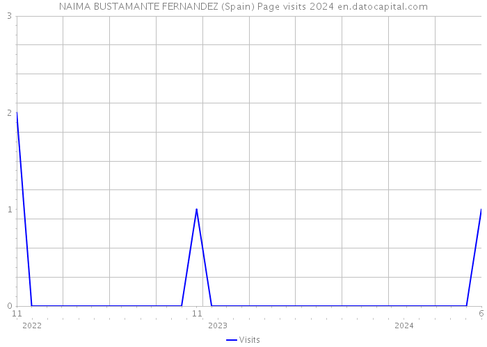 NAIMA BUSTAMANTE FERNANDEZ (Spain) Page visits 2024 