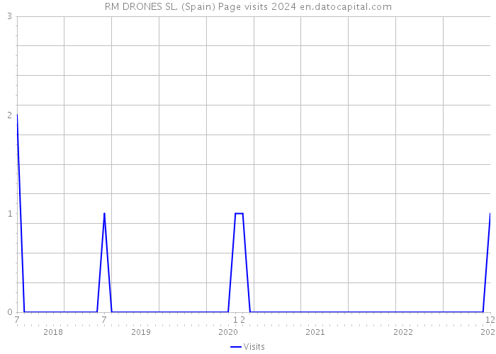 RM DRONES SL. (Spain) Page visits 2024 