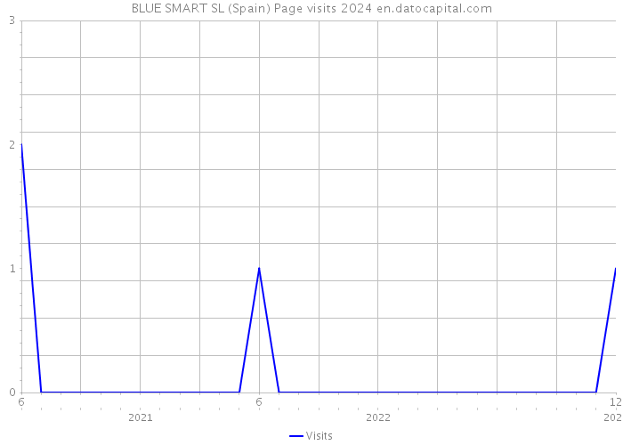 BLUE SMART SL (Spain) Page visits 2024 