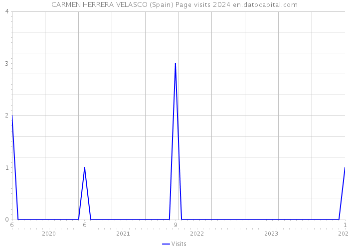 CARMEN HERRERA VELASCO (Spain) Page visits 2024 