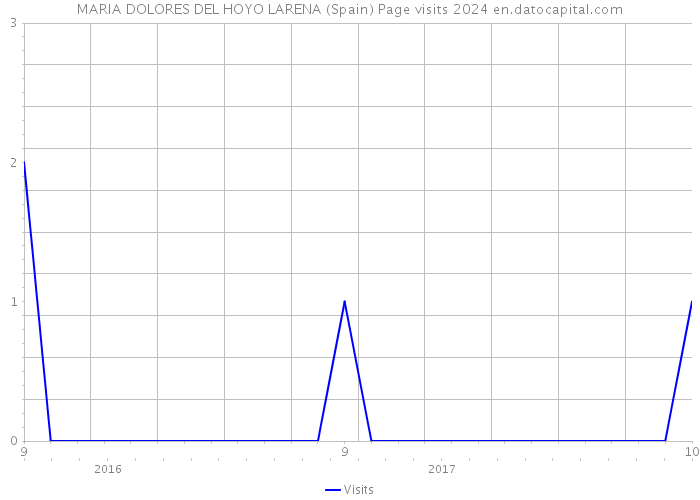 MARIA DOLORES DEL HOYO LARENA (Spain) Page visits 2024 