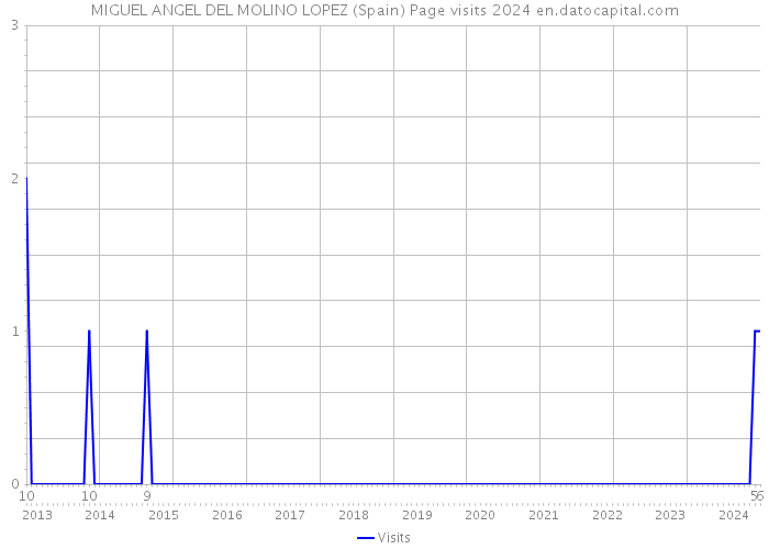 MIGUEL ANGEL DEL MOLINO LOPEZ (Spain) Page visits 2024 