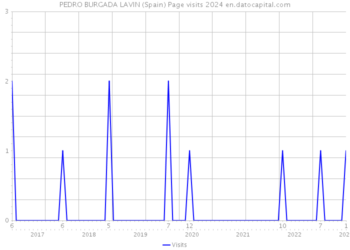 PEDRO BURGADA LAVIN (Spain) Page visits 2024 