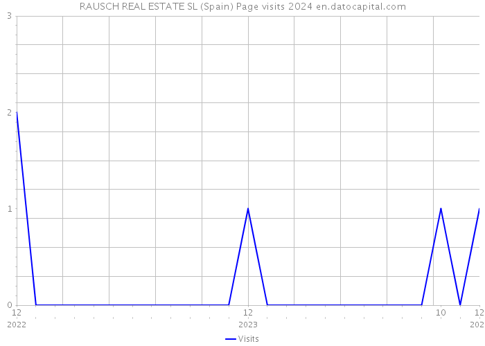 RAUSCH REAL ESTATE SL (Spain) Page visits 2024 