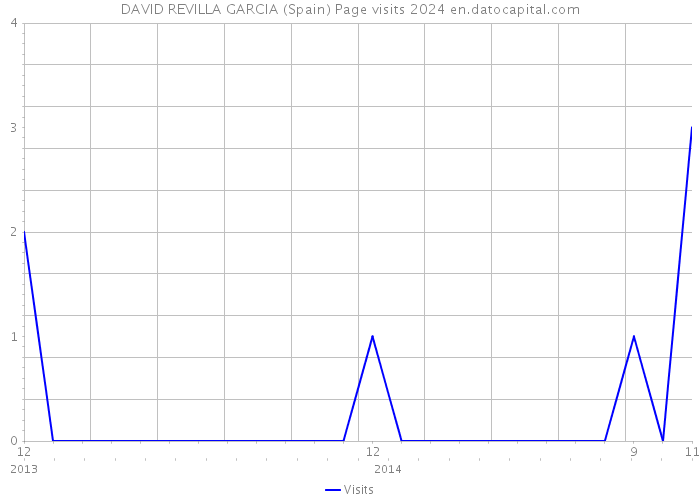 DAVID REVILLA GARCIA (Spain) Page visits 2024 