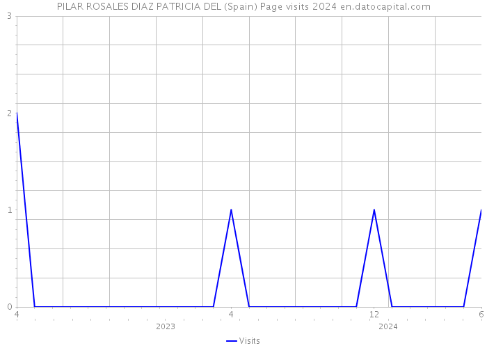 PILAR ROSALES DIAZ PATRICIA DEL (Spain) Page visits 2024 