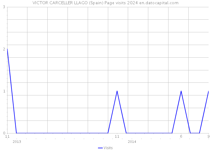 VICTOR CARCELLER LLAGO (Spain) Page visits 2024 