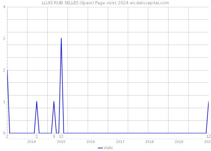 LLUIS RUBI SELLES (Spain) Page visits 2024 