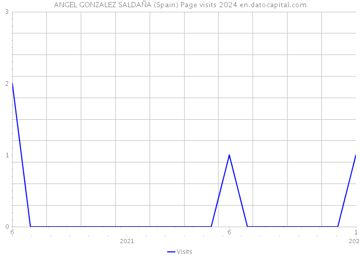 ANGEL GONZALEZ SALDAÑA (Spain) Page visits 2024 