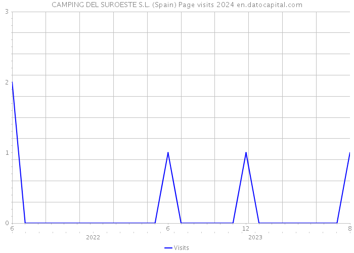 CAMPING DEL SUROESTE S.L. (Spain) Page visits 2024 