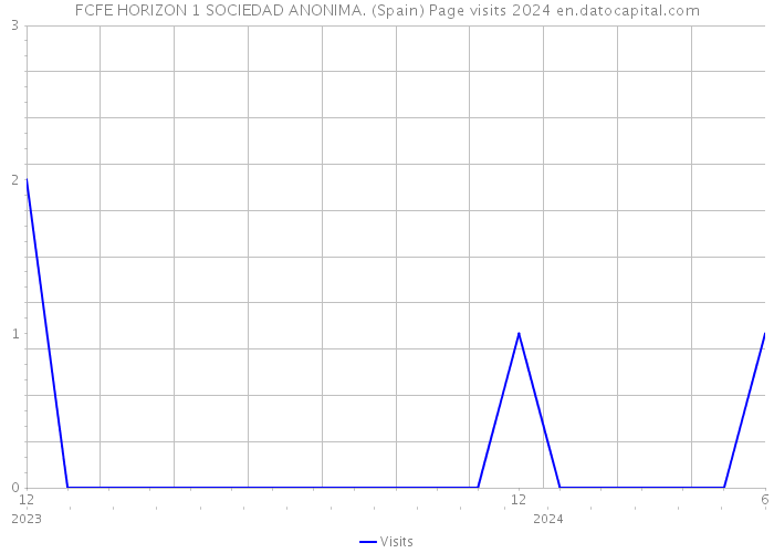 FCFE HORIZON 1 SOCIEDAD ANONIMA. (Spain) Page visits 2024 