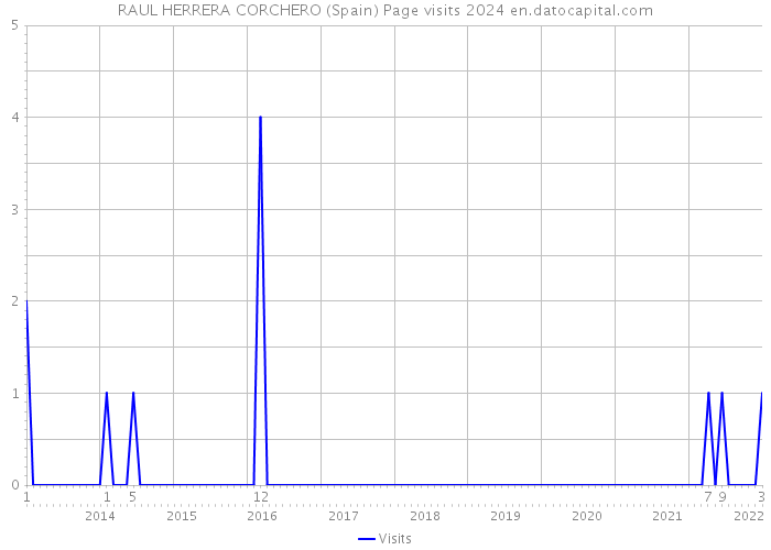 RAUL HERRERA CORCHERO (Spain) Page visits 2024 