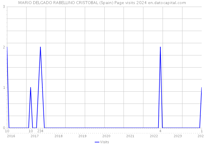 MARIO DELGADO RABELLINO CRISTOBAL (Spain) Page visits 2024 