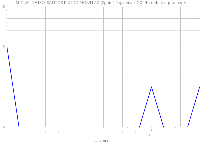 MIGUEL DE LOS SANTOS PULIDO MORILLAS (Spain) Page visits 2024 