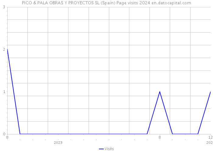 PICO & PALA OBRAS Y PROYECTOS SL (Spain) Page visits 2024 