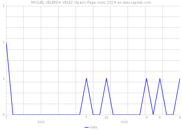 MIGUEL VELERDA VELEZ (Spain) Page visits 2024 