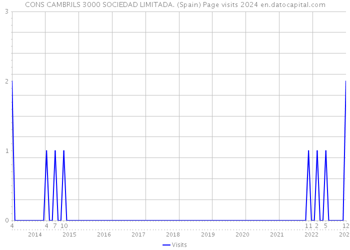 CONS CAMBRILS 3000 SOCIEDAD LIMITADA. (Spain) Page visits 2024 