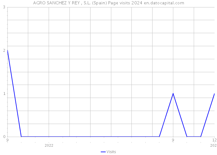 AGRO SANCHEZ Y REY , S.L. (Spain) Page visits 2024 