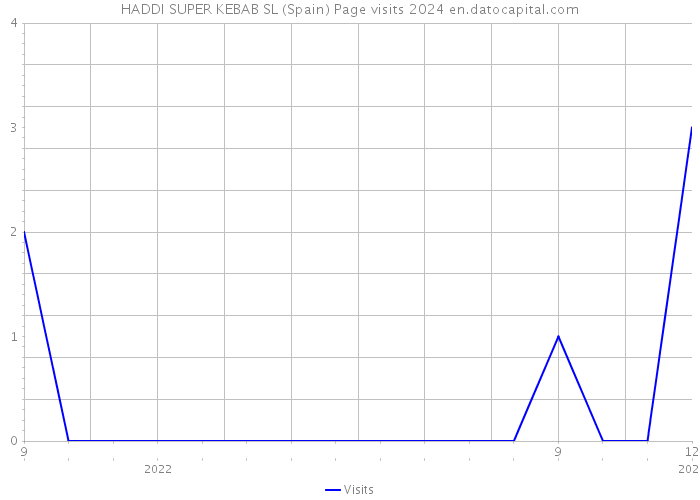 HADDI SUPER KEBAB SL (Spain) Page visits 2024 