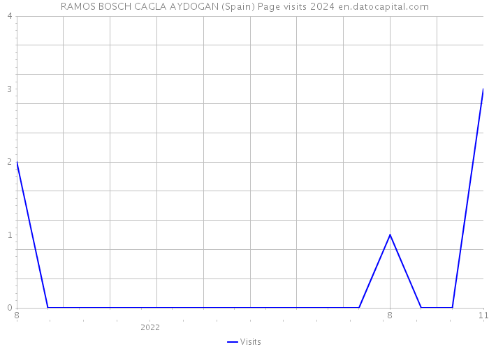 RAMOS BOSCH CAGLA AYDOGAN (Spain) Page visits 2024 