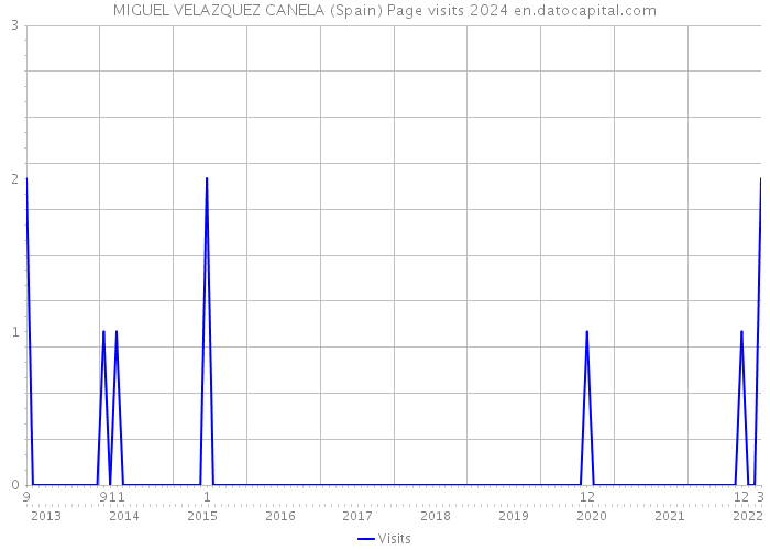 MIGUEL VELAZQUEZ CANELA (Spain) Page visits 2024 