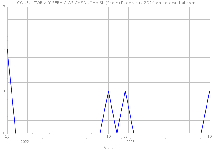 CONSULTORIA Y SERVICIOS CASANOVA SL (Spain) Page visits 2024 