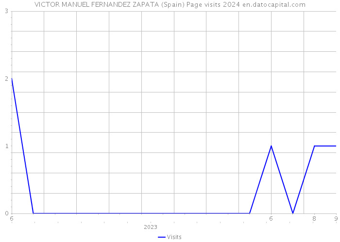 VICTOR MANUEL FERNANDEZ ZAPATA (Spain) Page visits 2024 