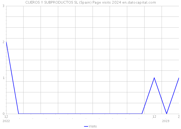 CUEROS Y SUBPRODUCTOS SL (Spain) Page visits 2024 