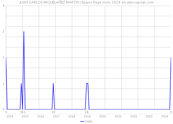 JUAN CARLOS MIGUELAÑEZ MARTIN (Spain) Page visits 2024 
