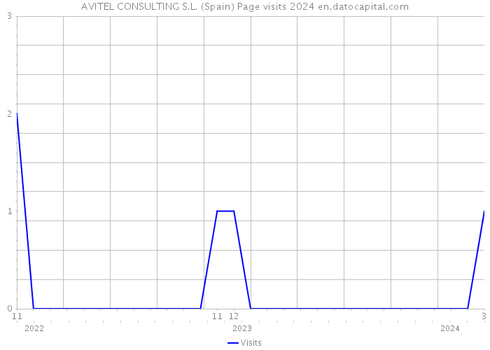 AVITEL CONSULTING S.L. (Spain) Page visits 2024 