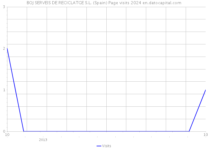 BOJ SERVEIS DE RECICLATGE S.L. (Spain) Page visits 2024 