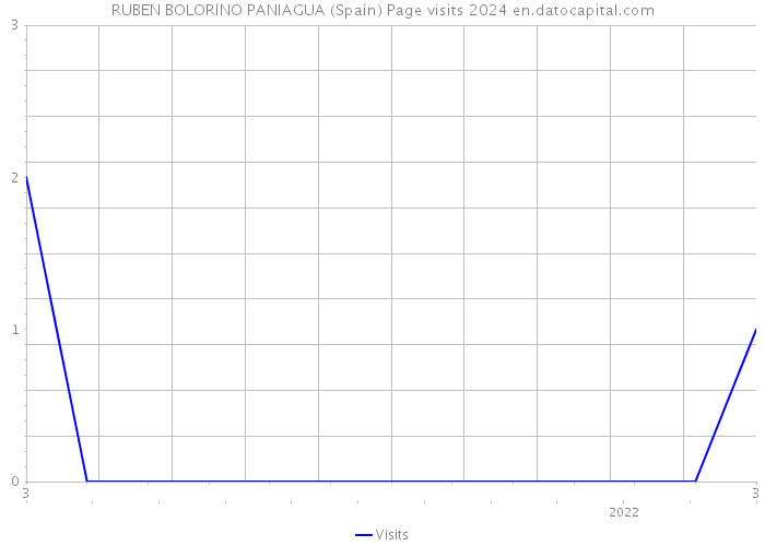 RUBEN BOLORINO PANIAGUA (Spain) Page visits 2024 