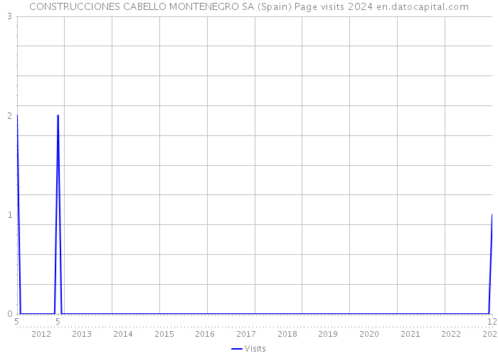 CONSTRUCCIONES CABELLO MONTENEGRO SA (Spain) Page visits 2024 