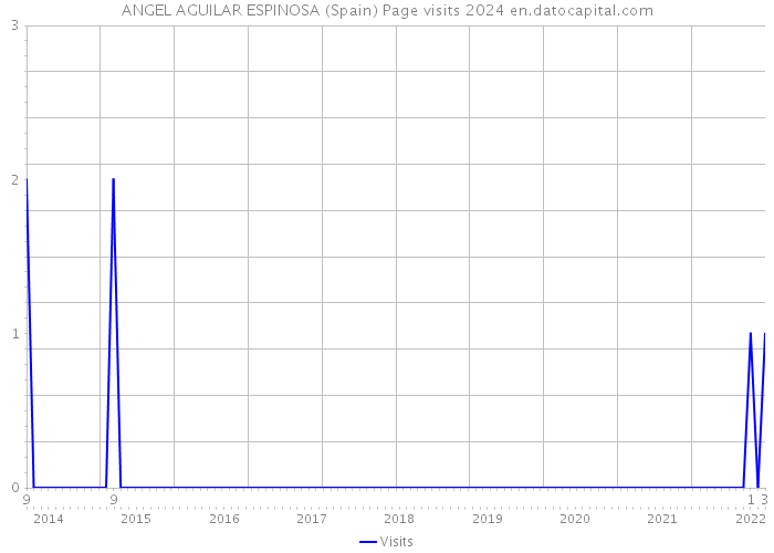 ANGEL AGUILAR ESPINOSA (Spain) Page visits 2024 
