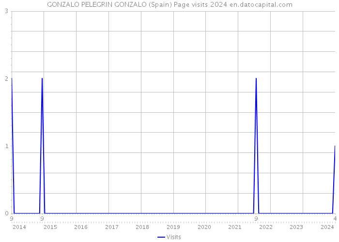 GONZALO PELEGRIN GONZALO (Spain) Page visits 2024 