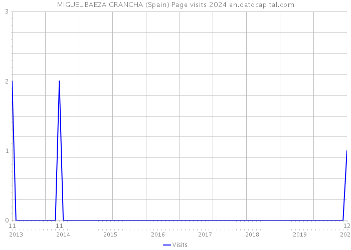 MIGUEL BAEZA GRANCHA (Spain) Page visits 2024 